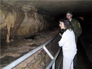 small_000628 rochesterIMG_4741.webp